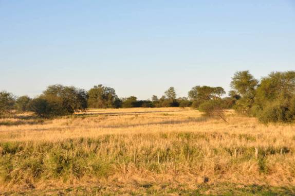 Dia de céu azul no Chaco paraguaio, região de Filadelfia
